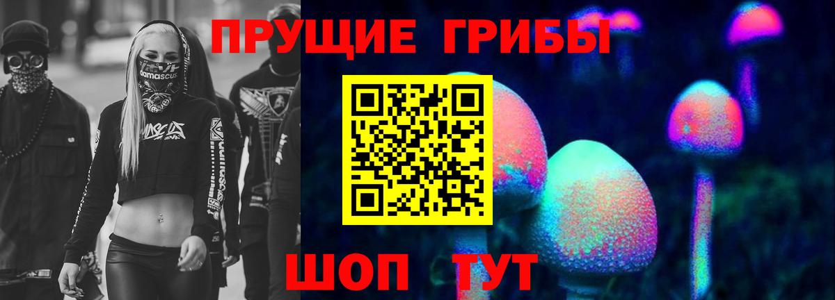 Псилоцибиновые грибы Cubensis  Вход с VPN  Псилоцибиновые грибы Cubensis  Туймазы 
